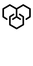 solution icon